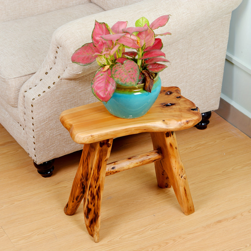 Irregular Shape Design All Solid Wood Fir Stool, Organized-life Wood Stump Side Stool, Tree Stump End Table Stool, Foot Stool, Natural Plant Stand For Garden Living Room, Small Lamp, Accent Stool, Piece Of Art Cedar Roots, Rustic Wood Side Stool